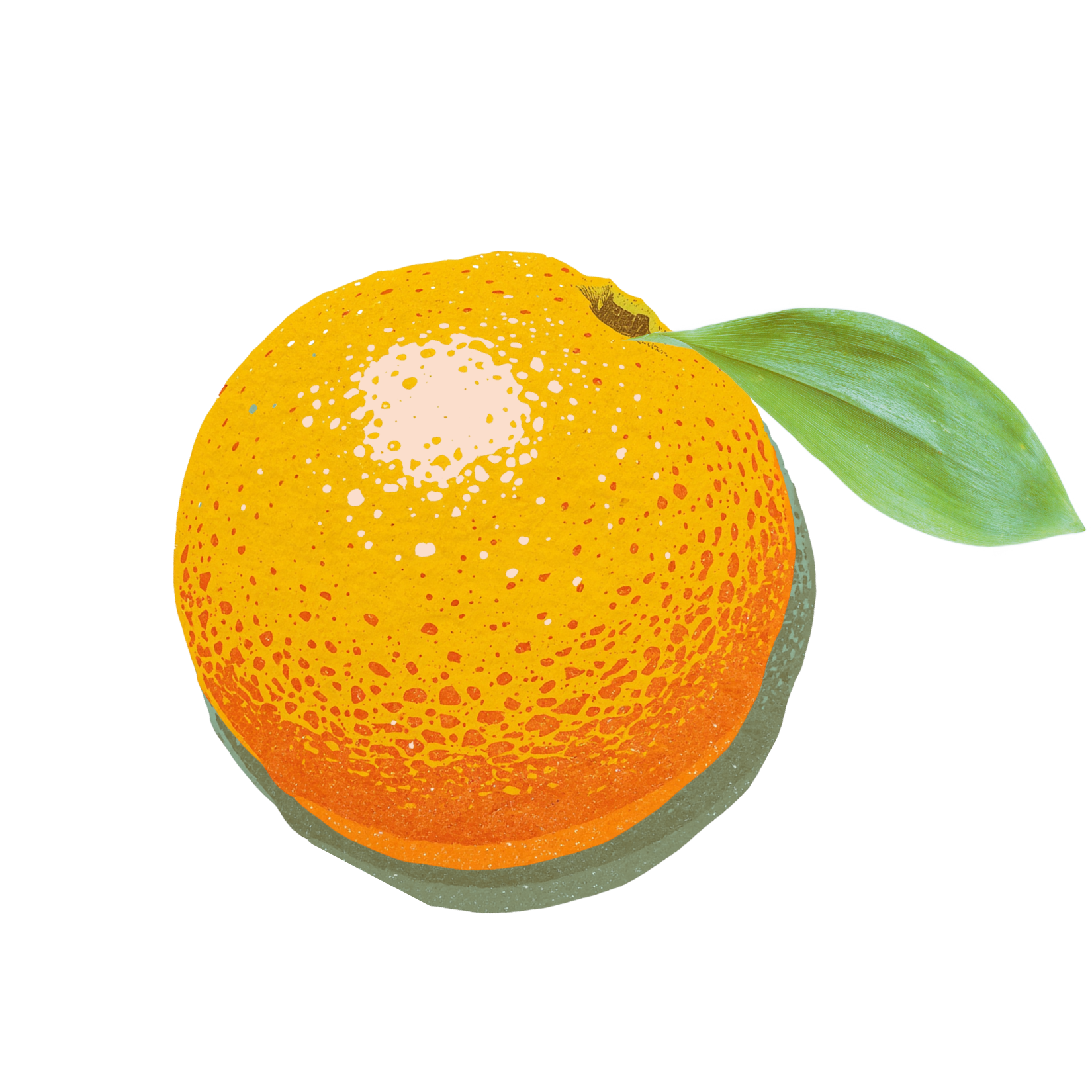 House of Yuzu